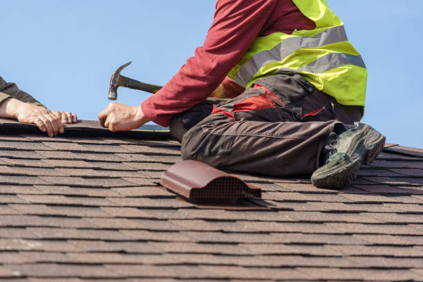 Roof Gutter Cleaning in Parchment, MI