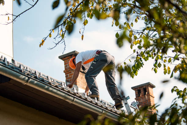 Professional Roofing Contractor in Parchment, MI