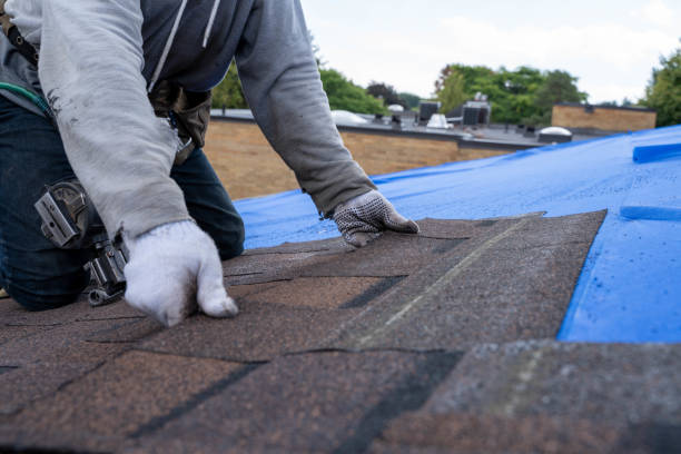 Quick and Trustworthy Emergency Roof Repair Services in Parchment, MI