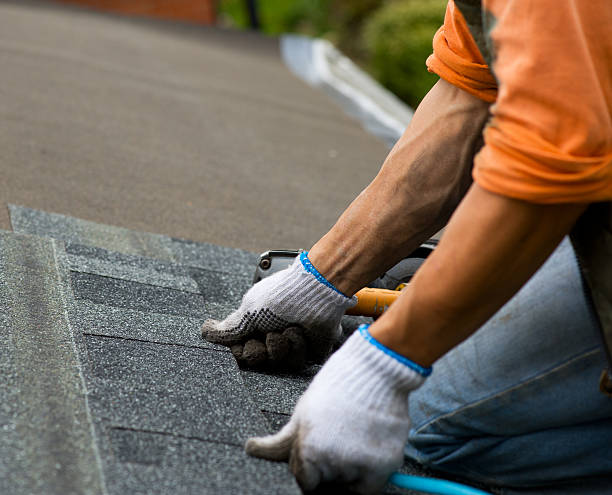 Sealant for Roof in Parchment, MI