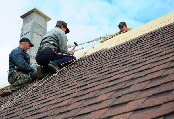 Best New Roof Installation  in Parchment, MI
