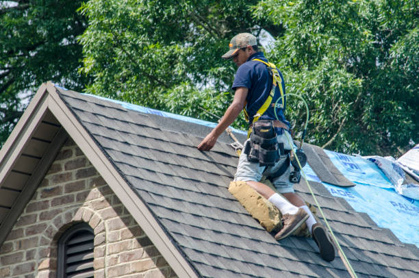 Best Metal Roofing Contractor  in Parchment, MI